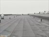 Айрат 45 лет. Фотография №3 фотоальбома  Хобби