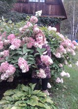 Познакомиться с татаркой.  roza 54 года Москва 403960