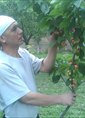 Познакомиться с татарином.  schukr 60 лет Челябинск 94759