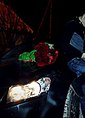 Познакомиться с татарином.  Наиль 33 года Саратов 236248