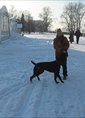 Познакомиться с татаркой.  Гузель 29 лет Самара 313542