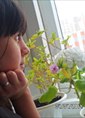 Познакомиться с татаркой.  Диана 28 лет Набережные Челны 365116