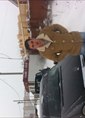 Познакомиться с татарином.  Тимур 36 лет Набережные Челны 410230