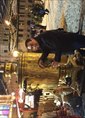 Познакомиться с татарином.  Ilyar 34 года Челябинск 376874