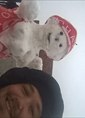 Познакомиться с татарином.  Наиль 39 лет Набережные Челны 476462