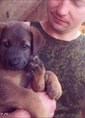Познакомиться с татарином.  Радик 35 лет Самара 571807