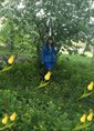 Познакомиться с татаркой.  Светлана 46 лет Самара 636847