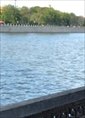 Познакомиться с татаркой.  Юлия 31 год Ульяновск 256168