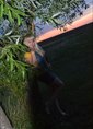 Познакомиться с татаркой.  altenk@ 43 года Самара 279339