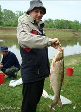 Познакомиться с татарином.  Дамир 45 лет Уфа 89295