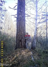 Познакомиться с татарином.  Руслан 42 года Уфа 110179