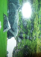 Познакомиться с татаркой.  Елена 50 лет Уфа 117082