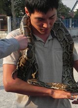 Познакомиться с татарином.  Nльдар 41 год Уфа 67122