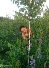 Познакомиться с татаркой.  юлия 46 лет Учалы 128445