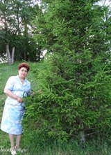 Познакомиться с татаркой.  Рушания 61 год Уфа 89210