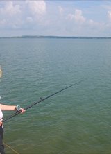 Познакомиться с татаркой.  милая 41 год Стерлитамак 161678