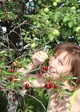 Познакомиться с татаркой.  Альбина 48 лет Белебей 195750