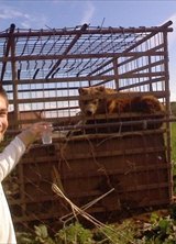 Познакомиться с татарином.  альберт 33 года Уфа 190697