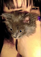 Познакомиться с татаркой.  Tvoя devoчka 36 лет Москва 256217