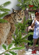 Познакомиться с татаркой.  Люция 64 года Уфа 288296