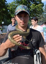 Познакомиться с татарином.  Мираль 37 лет Уфа 305734