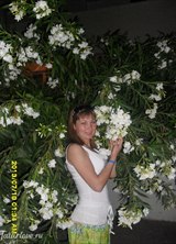 Познакомиться с татаркой.  Гульназ 39 лет Уфа 158793