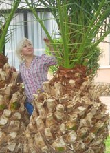 Познакомиться с татаркой.  гульнара 54 года Москва 359395