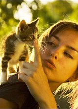 Познакомиться с татаркой.  Ann 32 года Балашиха 382119