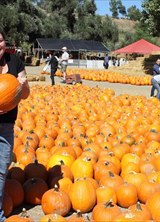 Познакомиться с татаркой.  Хабировна 60 лет Москва 267687