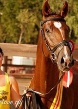 Познакомиться с татаркой.  Женя 44 года Уфа 180734