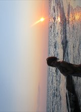 Познакомиться с татаркой.  дождик 48 лет Уфа 151033