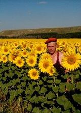 Познакомиться с татарином.  Рамиль 53 года Салават 437195