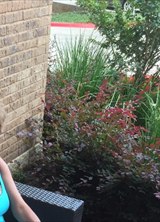 Познакомиться с татаркой.  Гузель 61 год Москва 250727