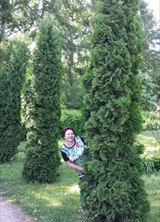Познакомиться с татаркой.  Хава 68 лет Москва 458719