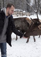 Познакомиться с татарином.  Рамиль 31 год Уфа 104417