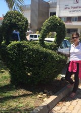 Познакомиться с татаркой.  Альбина 39 лет Москва 621617