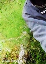 Познакомиться с татаркой.  DDDD 36 лет Москва 297189