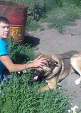 Познакомиться с татарином.  илнар рахманов 33 года Киргиз-Мияки 358265