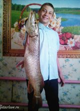 Познакомиться с татаркой.  самец228 24 года Москва 692707