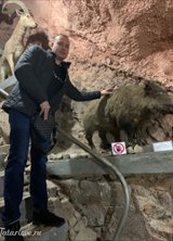 Познакомиться с татарином.  Рамиль 39 лет Москва 734339