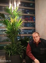 Познакомиться с татарином.  Mansur 45 лет Москва 88420