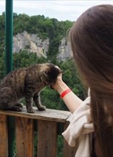 Познакомиться с татаркой.  ☀️ 33 года Пермь 709177