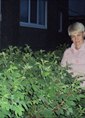 Познакомиться с татаркой.  Гуля 53 года Димитровград 54524
