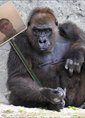 Познакомиться с татарином.  Эдуард 37 лет Стерлитамак 156330