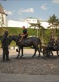 Познакомиться с татарином.  Damir 45 лет Нижнекамск 197754