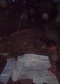 Познакомиться с татарином.  Ринат 39 лет Казань 15508 фото №4