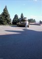 Познакомиться с татарином.  Фарид 61 год Волгоград 68014
