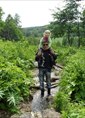 Познакомиться с татарином.  Ильдар 45 лет Бавлы 376358