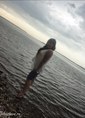 Познакомиться с татаркой.  лиана 35 лет Салават 439233