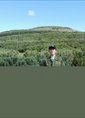 Познакомиться с татарином.  Данир 27 лет Ульяновск 526218